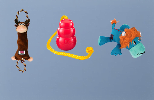 Voor al uw hondenbenodigdheden