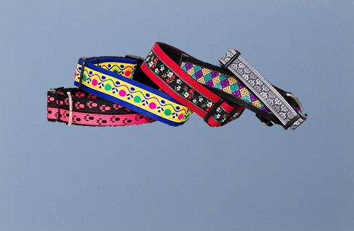 mooie-halsbanden-mooie-halsband-
