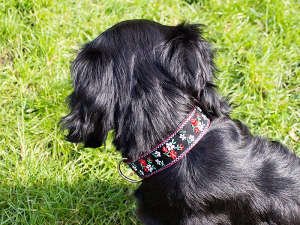 Halsband-hond-handgemaakt-hondenhalsband-handgemaakte-hondenhalsbanden