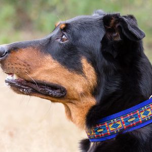 leuke hondenhalsband - halsbanden hond handgemaakt – handgemaakte hondenhalsbanden