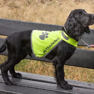 reflecterend-hondenhesje-trainingsvest-hond-hulphond-hesje