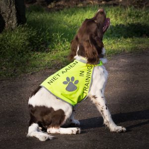 Honden-trainingsvest-trainingsvest_hond-reflecterend-hondenhesje_hesje-hulphond