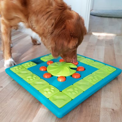 Honden denkspel - Nina Ottosson hondenpuzzel - hondenpuzzels – honden puzzel voor honden