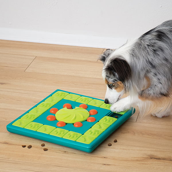 Honden denkspel - Nina Ottosson hondenpuzzel - hondenpuzzels – honden puzzel voor honden