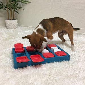 Nina Ottosson hondenpuzzel - denkspellen hond – hondenpuzzels – honden puzzel voor honden