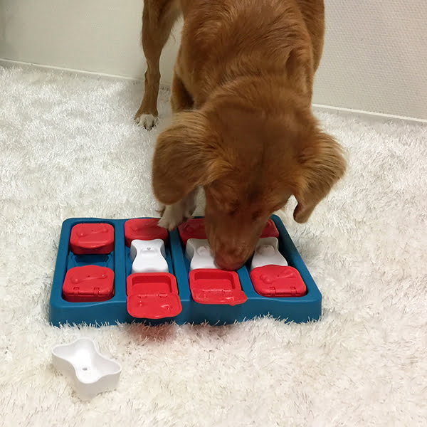 Nina Ottosson hondenpuzzel - denkspellen hond – hondenpuzzels – honden puzzel voor honden