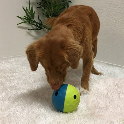 Nina Ottosson hondenpuzzels - denkspellen hond – hondenpuzzel – honden puzzel voor honden