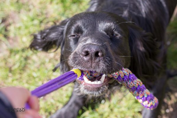 touw dummy drijvend hondenspeelgoed - apporteer speelgoed hond – trekspeelgoed - trekspeeltjes