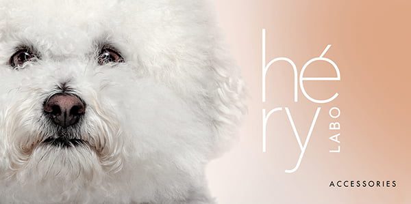 hondenborstel - hondenkammen - hondenkam - hond borstelen – borstel hond – kam hond