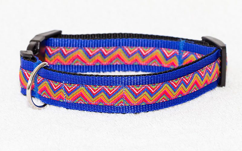 mooie hondenhalsband blauw - blauwe halsband - blauwe hondenhalsband - halsband hond blauw