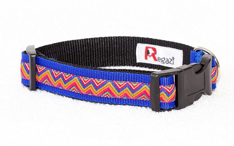 hondenhalsband blauw stoer – halsband blauw – honden halsband blauw – blauwe halsband