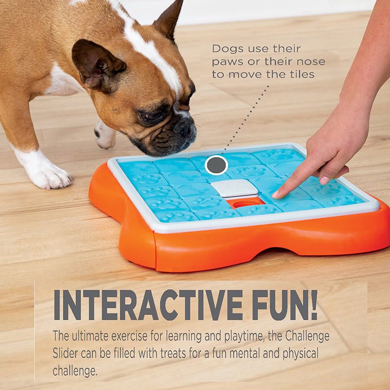 Hondenpuzzels Nina Ottosson - honden denkspel - denkspellen hond – hondenpuzzel