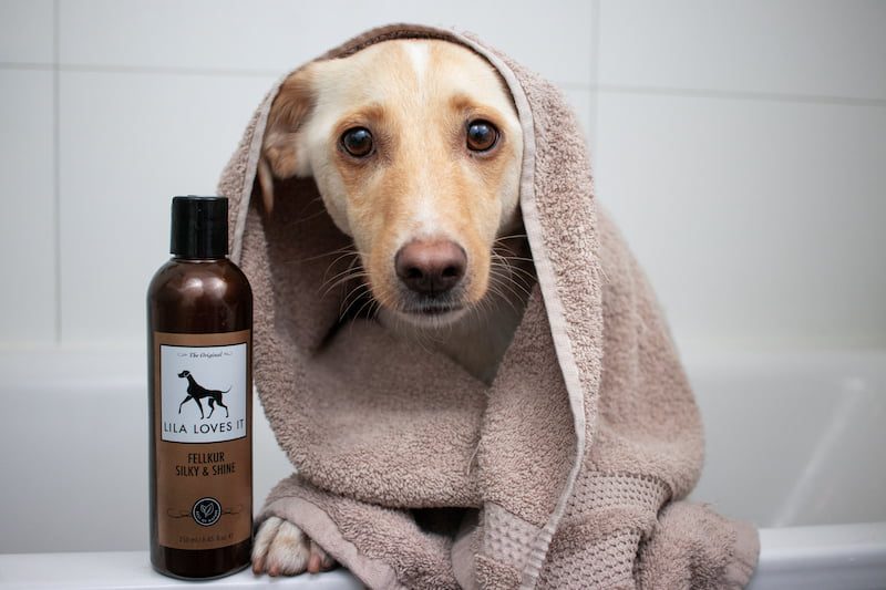 honden conditioner voor honden - cremespoeling hond – hondenconditioner - honden cremespoeling