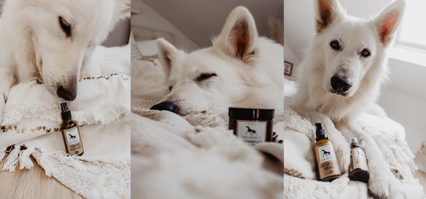 eko4petz-hondenverzorging-honden-benodigdheden