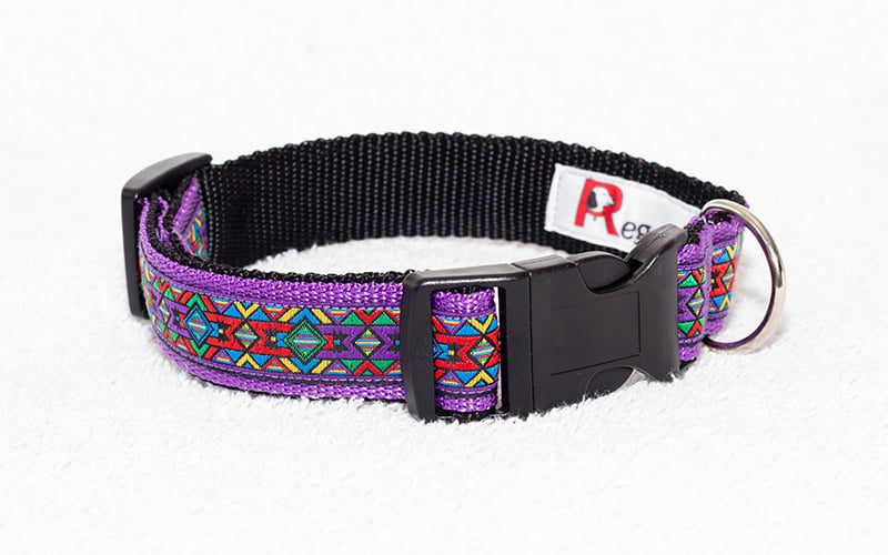 paarse hondenhalsband - paarse halsband hond - halsbanden hond – halsband paars