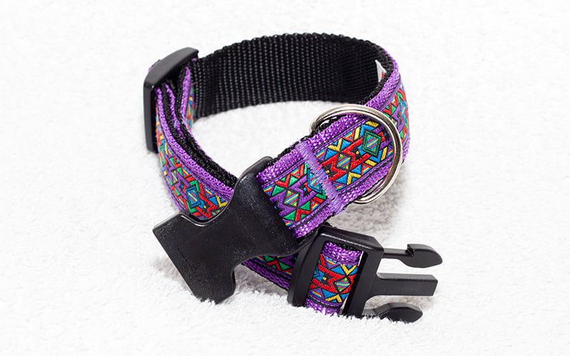 paarse hondenhalsband - paarse halsband hond - halsbanden hond – halsband paars