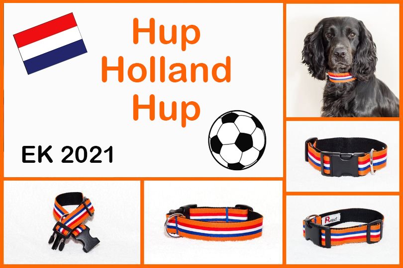 oranje-halsband-oranje-hondenhalsband