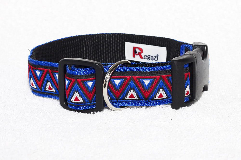 gekleurde halsbanden - hondenhalsband - halsband hond – hondenhalsband – honden halsband