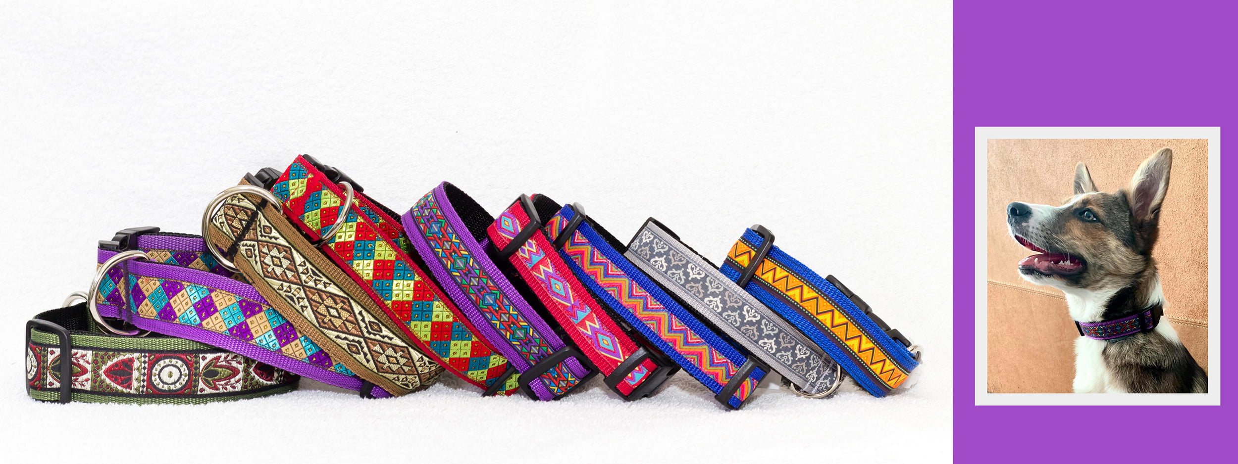 hondenhalsband-halsbanden-halsband-hond