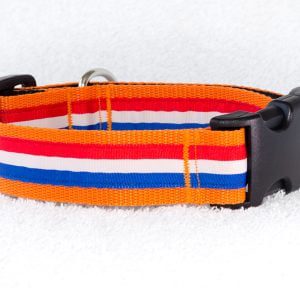 stoere oranje hondenhalsband - halsband oranje - oranje halsband hond – hondenhalsbanden