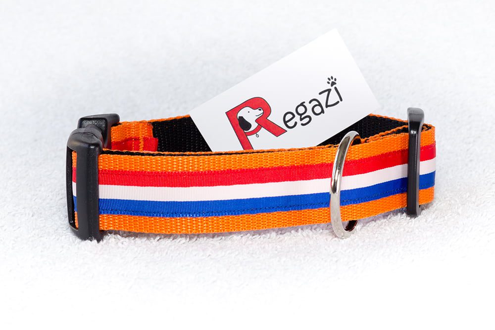stoere oranje hondenhalsband - halsband oranje - oranje halsband hond – hondenhalsbanden