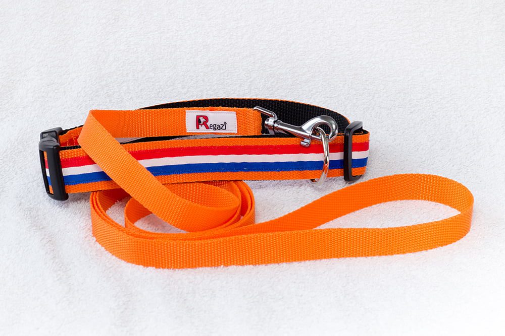 Nederlandse hondenhalsband oranje – halsband hond – honden halsband – halsbanden hond