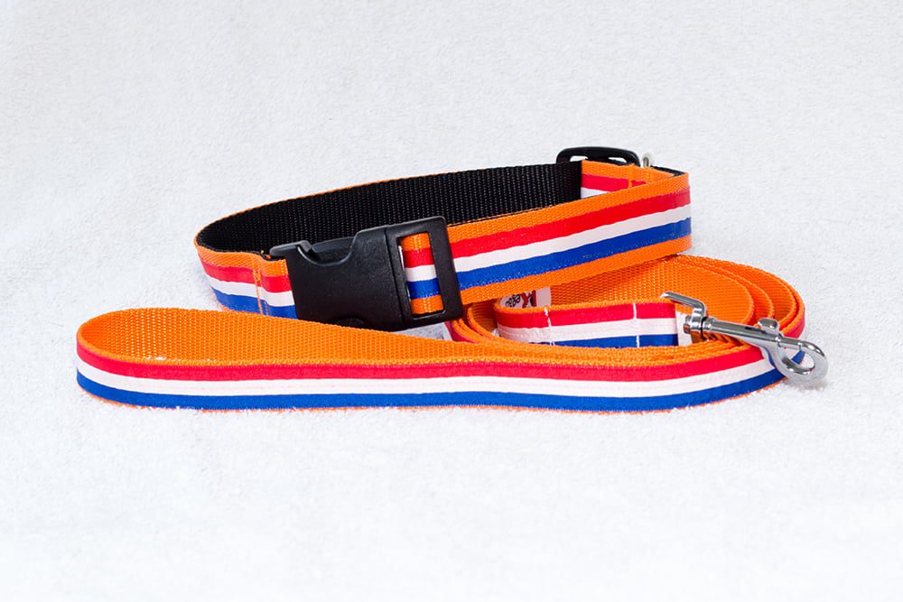 Nederlandse hondenhalsband oranje – halsband hond – honden halsband – halsbanden hond