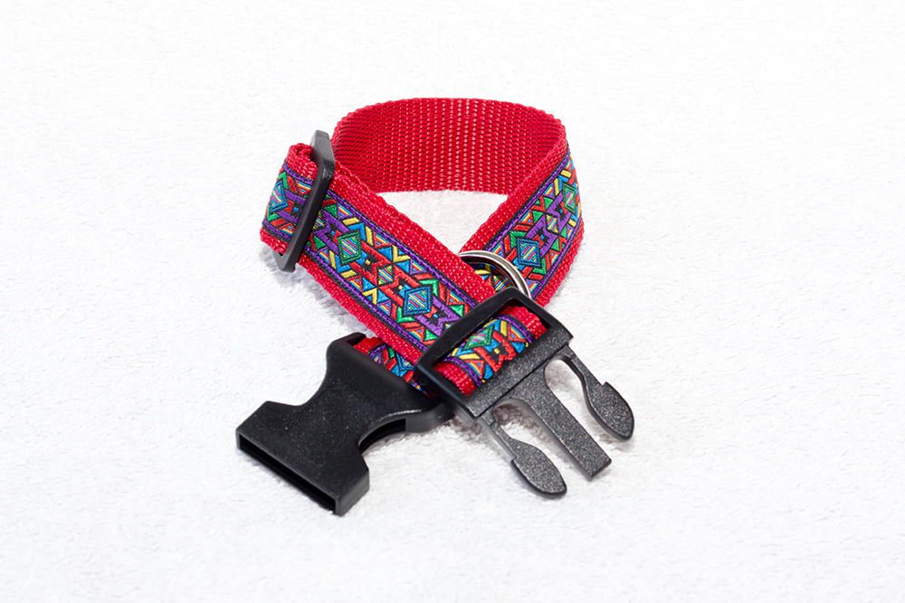 mooie hondenhalsband - halsbanden - halsband hond – hondenhalsbanden – halsband nylon