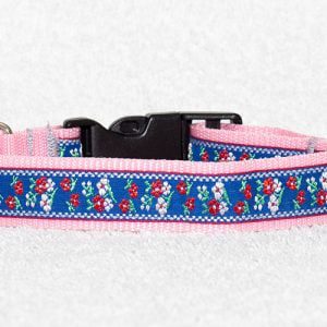 leuke hondenhalsband - halsbanden hond – halsband hond – hondenhalsbanden