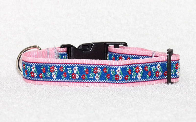 leuke hondenhalsband - halsbanden hond – halsband hond – hondenhalsbanden