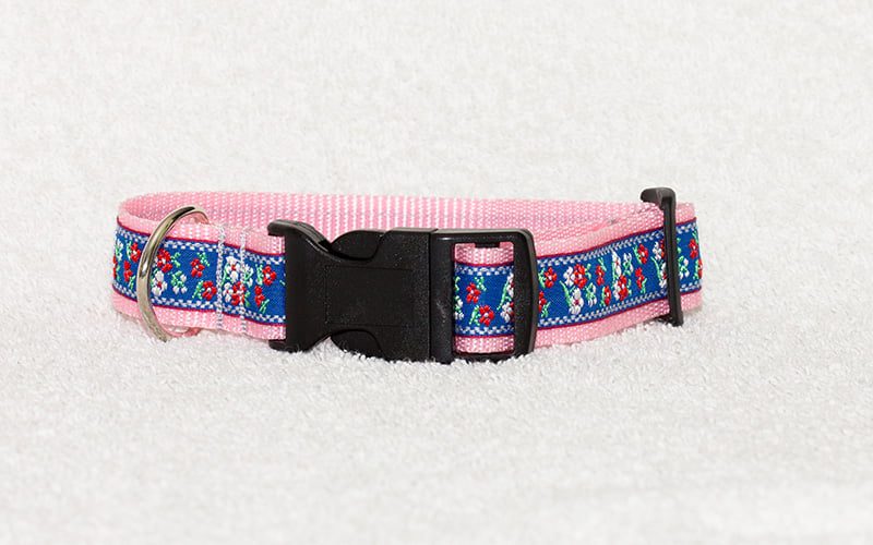 leuke hondenhalsband - halsbanden hond – halsband hond – hondenhalsbanden