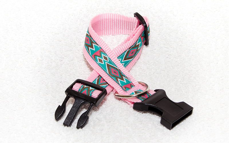 mooie halsbanden - halsbanden hond – halsband hond – hondenhalsbanden - hondenhalsband