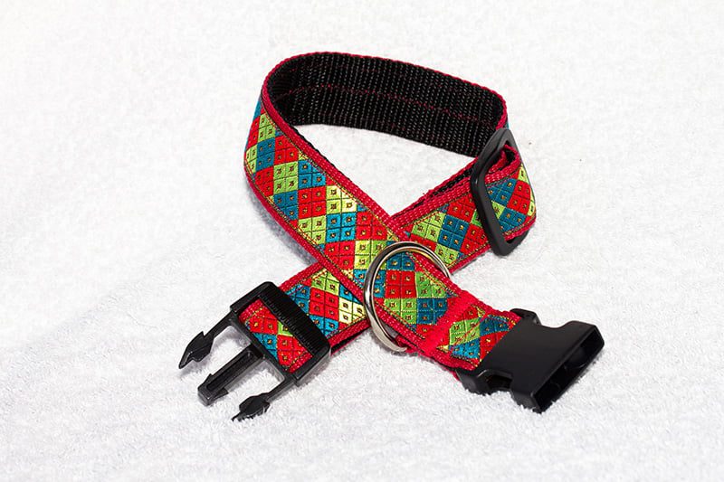 verstelbare halsband hond - halsbanden hond – hondenhalsbanden - hondenhalsband
