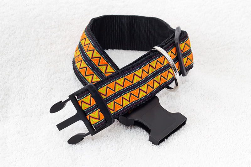 oranje halsband hond - halsbanden hond – halsband hond – hondenhalsbanden