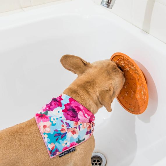 lickimat splash - lickimat slomo - voermat hond - lickimat kopen - hondenpuzzel - voerpuzzel