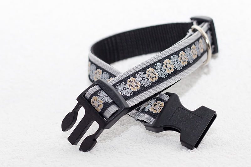 grijze halsband hond - halsbanden hond – hondenhalsband – hondenhalsbanden