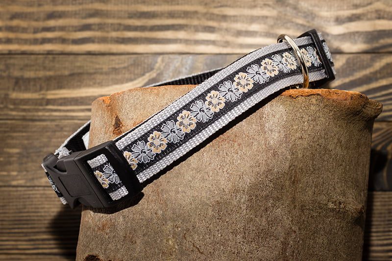 grijze halsband hond - halsbanden hond – hondenhalsband – hondenhalsbanden