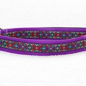 halsband hond paars - halsbanden hond – hondenhalsband – hondenhalsbanden