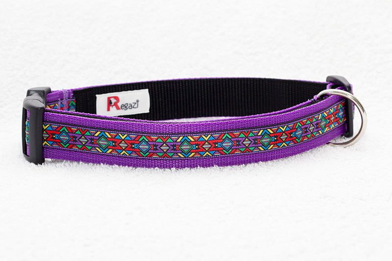 halsband hond paars - halsbanden hond – hondenhalsband – hondenhalsbanden