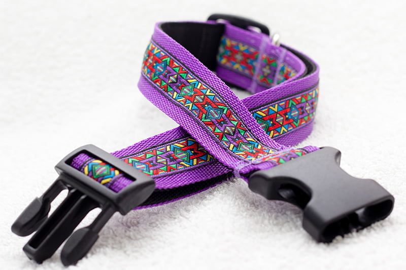 halsband hond paars - halsbanden hond – hondenhalsband – hondenhalsbanden