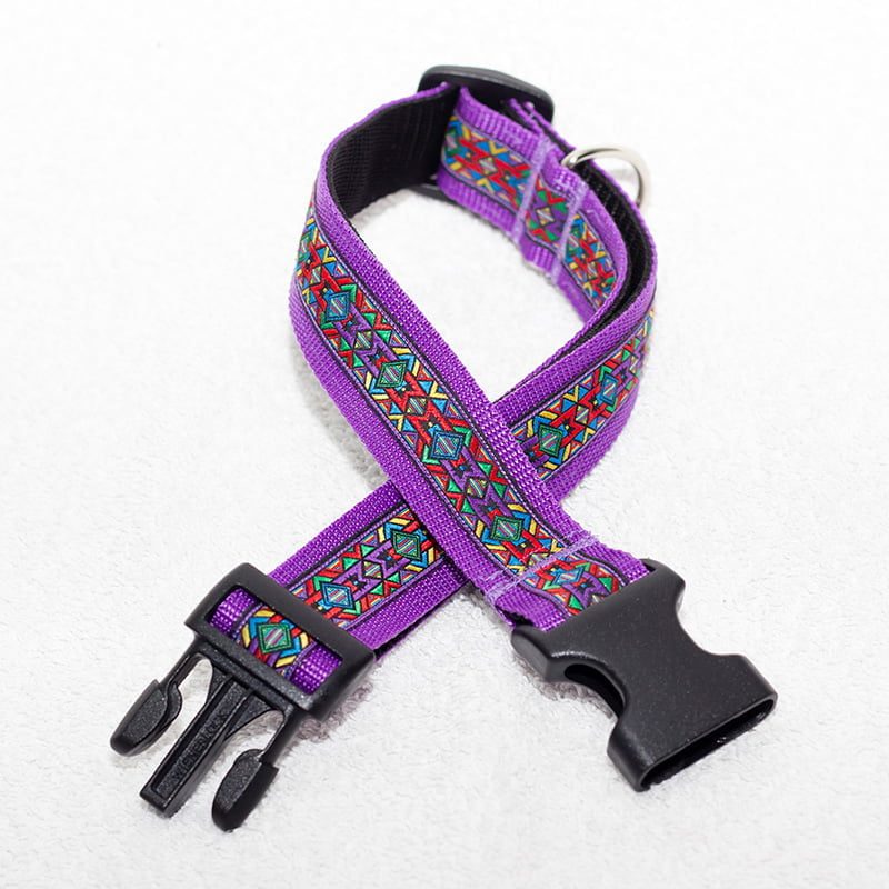 halsband hond paars - halsbanden hond – hondenhalsband – hondenhalsbanden