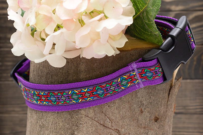 halsband hond paars - halsbanden hond – hondenhalsband – hondenhalsbanden