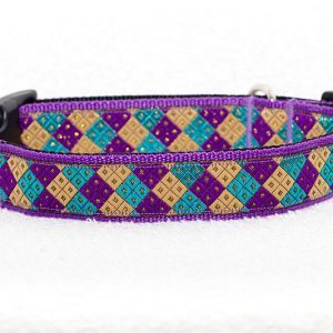 paarse halsband hond - halsbanden hond – hondenhalsband – hondenhalsbanden