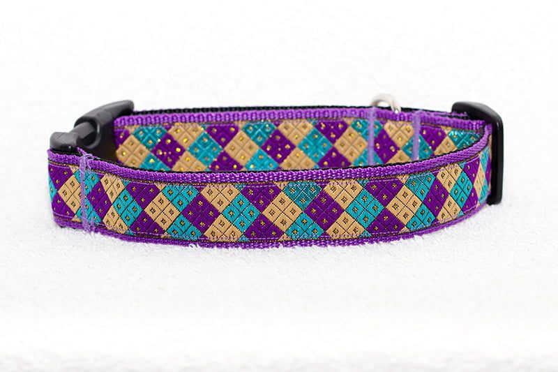 paarse halsband hond - halsbanden hond – hondenhalsband – hondenhalsbanden
