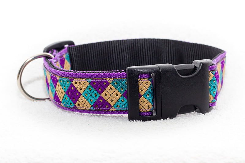 paarse halsband hond - halsbanden hond – hondenhalsband – hondenhalsbanden