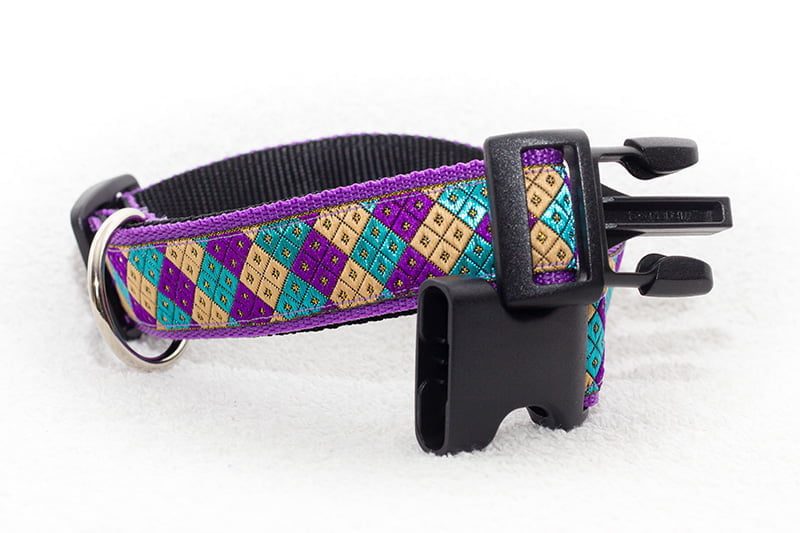 paarse halsband hond - halsbanden hond – hondenhalsband – hondenhalsbanden