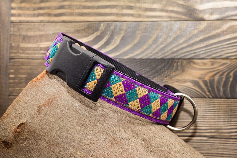 paarse halsband hond - halsbanden hond – hondenhalsband – hondenhalsbanden