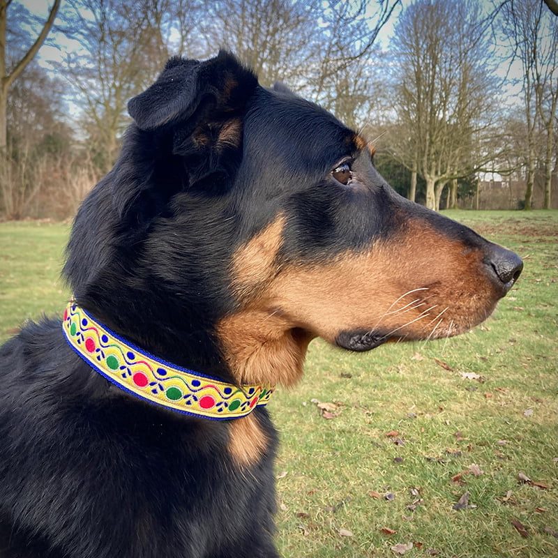 Regazi halsband paars-mozaïek gekleurd 3 cm - Afbeelding 10
