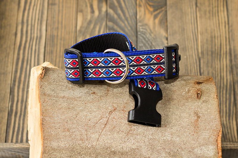 Regazi halsband blauw met rood-wit-blauwe sierband 3 cm - Afbeelding 5