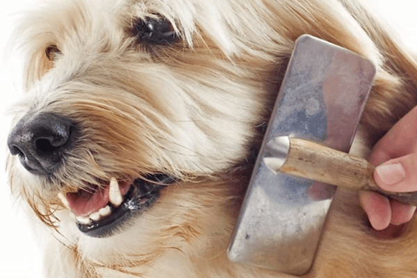 vachtverzorging-hond-hond-borstelen-hond-kammen-borstels-hond-kammen-hond